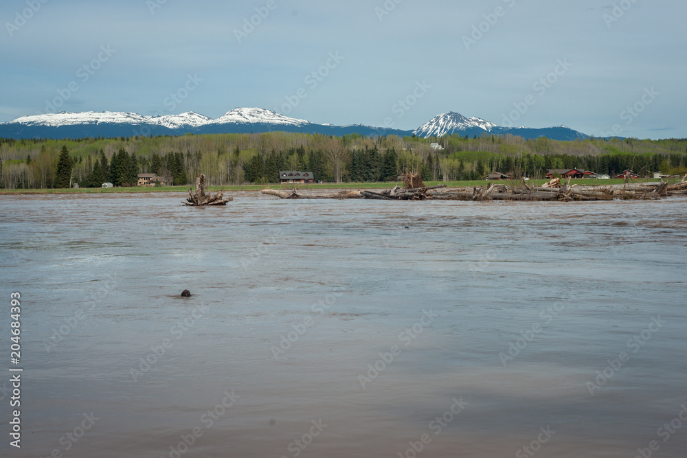 Spring Flood in the Bulkley Valley