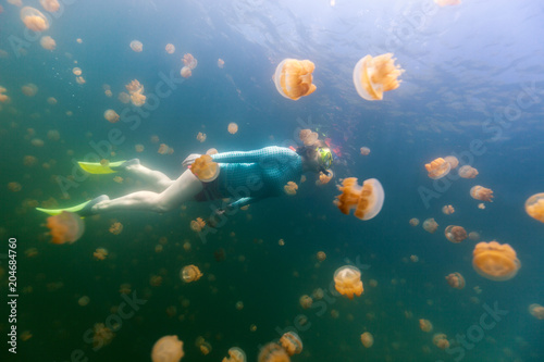 Tourist snorkeling in Jellyfish Lake © BlueOrange Studio