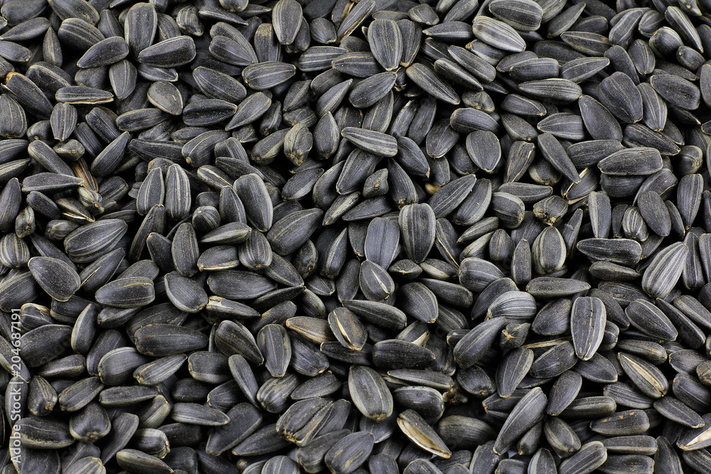 Black, natural, raw, uncooked sunflower seeds. For texture or background, top view. Black, natural, raw, uncooked sunflower seeds. For texture or background, top view.