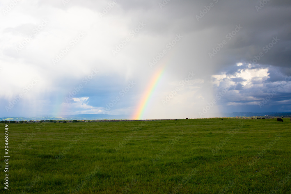 Meadow Ranbow