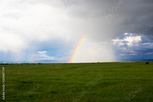 Meadow Ranbow