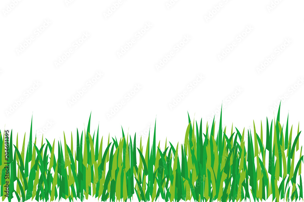 Hierba verde sobre fondo blanco.
