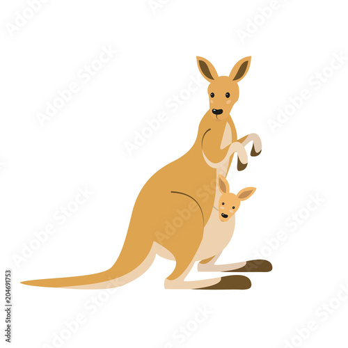 Cute kangaroo on white background. photo