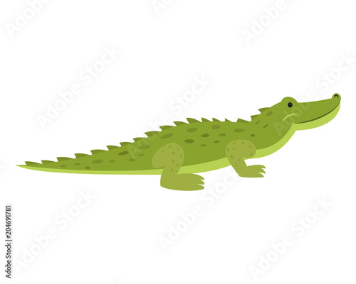 Cute crocodile on white background.