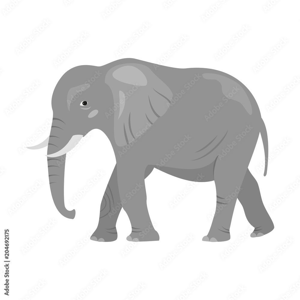 Cute elephant on white background.