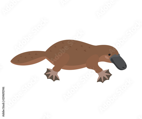 Cute platypus on white background.