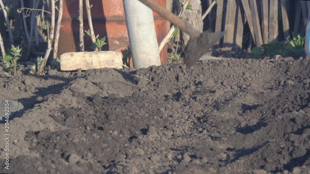 Man making garden beds with a hoe Man making garden beds with a hoe