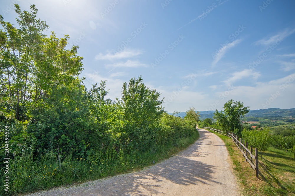 Rural road passing a village surrounded with forest, sunny day scene