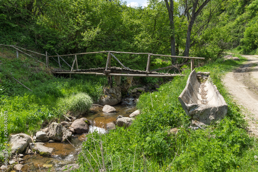 Obraz premium Wooden bridge over Fotinovo River near village of Fotinovo in Rhodopes Mountain, Pazardzhik region, Bulgaria