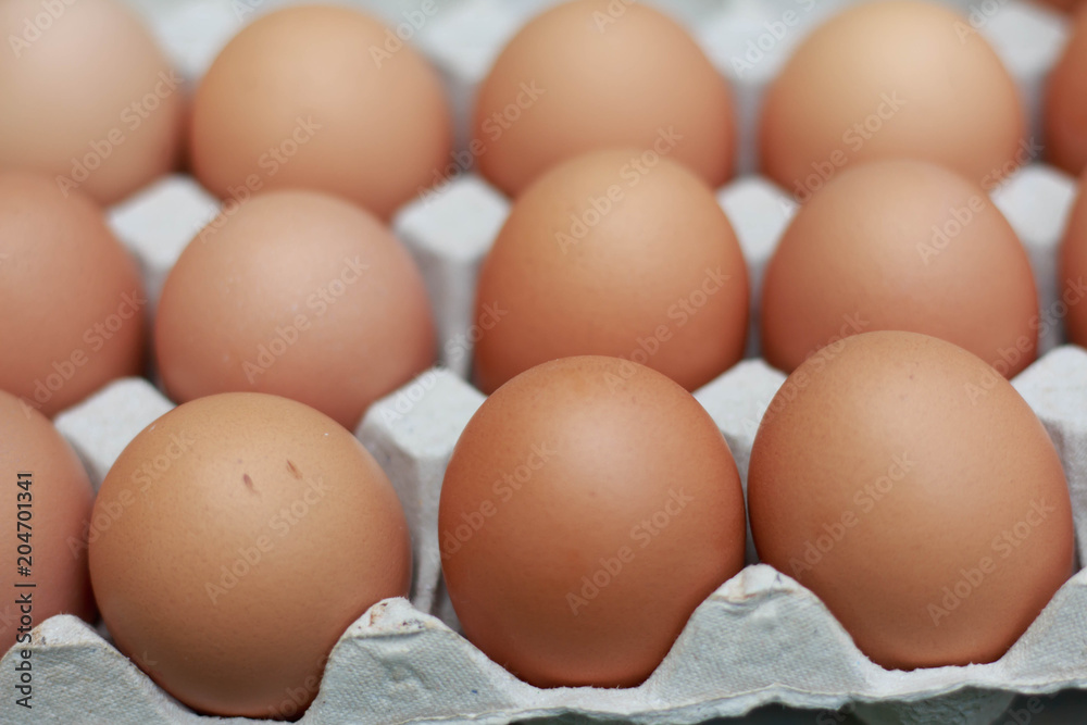Close up Eggs placed on paper egg panels. Close up Eggs placed on paper egg panels.