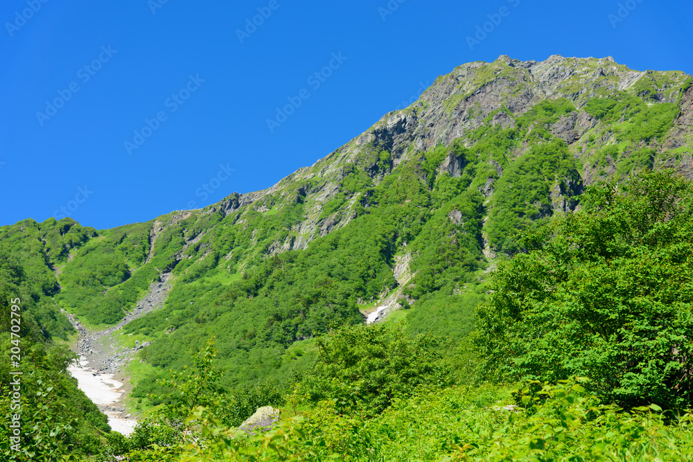 Fototapeta premium 南アルプス 大樺沢から望む北岳