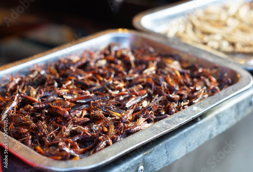 deep fire worm, cricket, yunnan local food