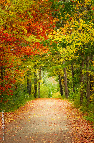 Scenic autumn foliage country road in Maine, New England