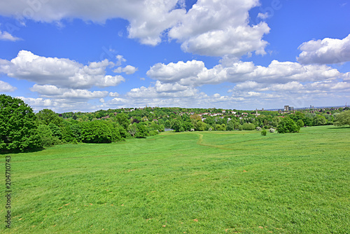 Trees and Trails in Hampstead Heath photo