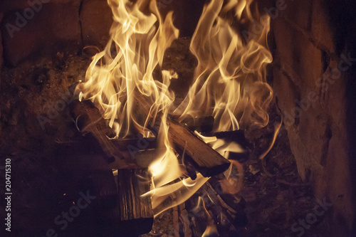 Closeup of firewood burning in fire