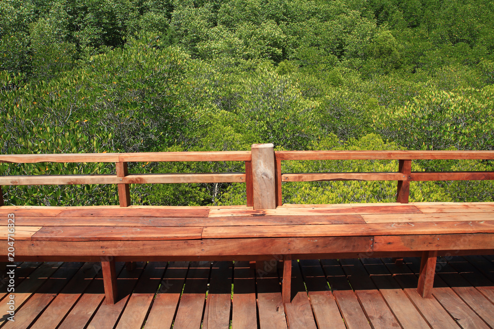 beautiful brown wooden seat in mangrove forest is environment nature outdoor background beautiful brown wooden seat in mangrove forest is environment nature outdoor background
