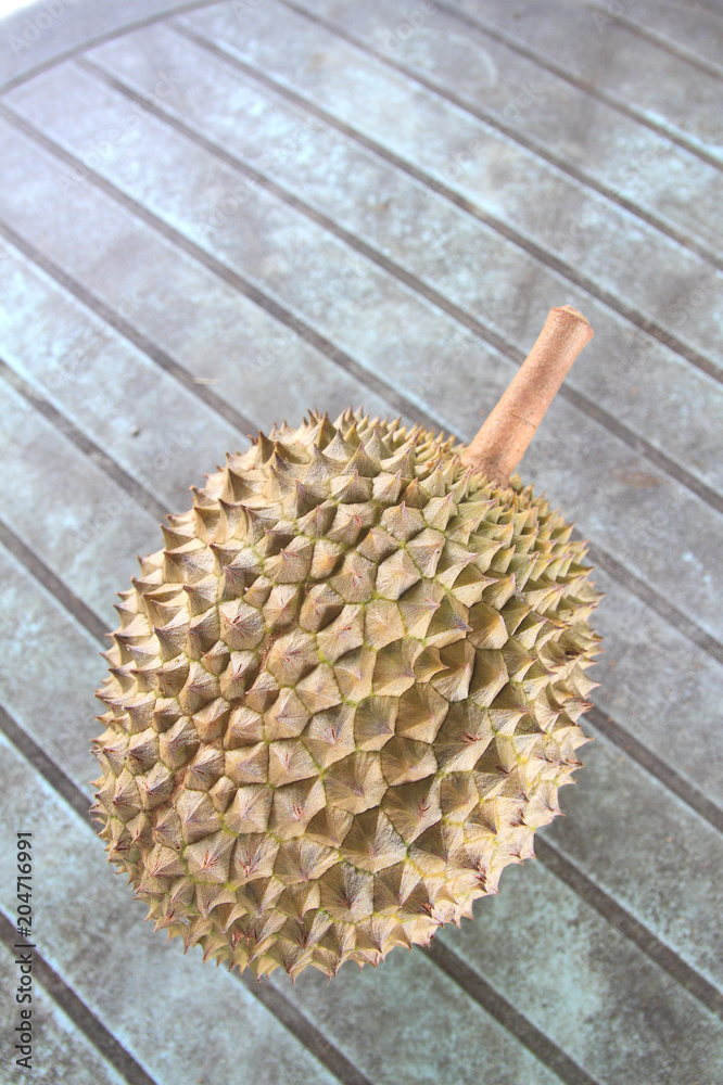 Fresh durian. King of fruit From the garden Fresh durian. King of fruit From the garden