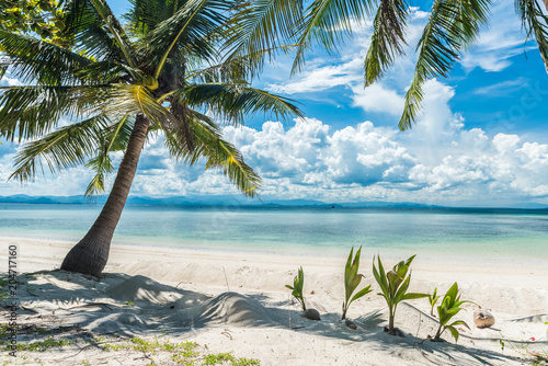 Fototapeta Naklejka Na Ścianę i Meble -  beautiful beach with coconut tree
