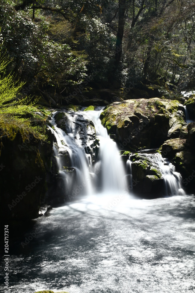 Obraz premium 旅先で出会った小さな滝