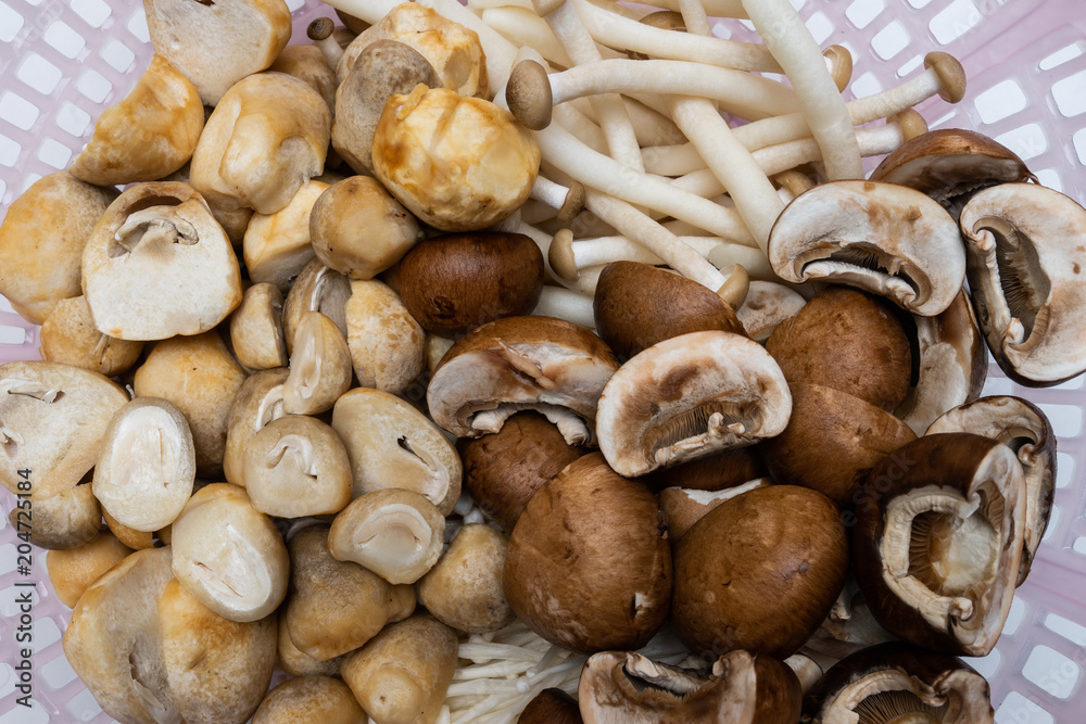 Mushrooms in basket Mushrooms in basket