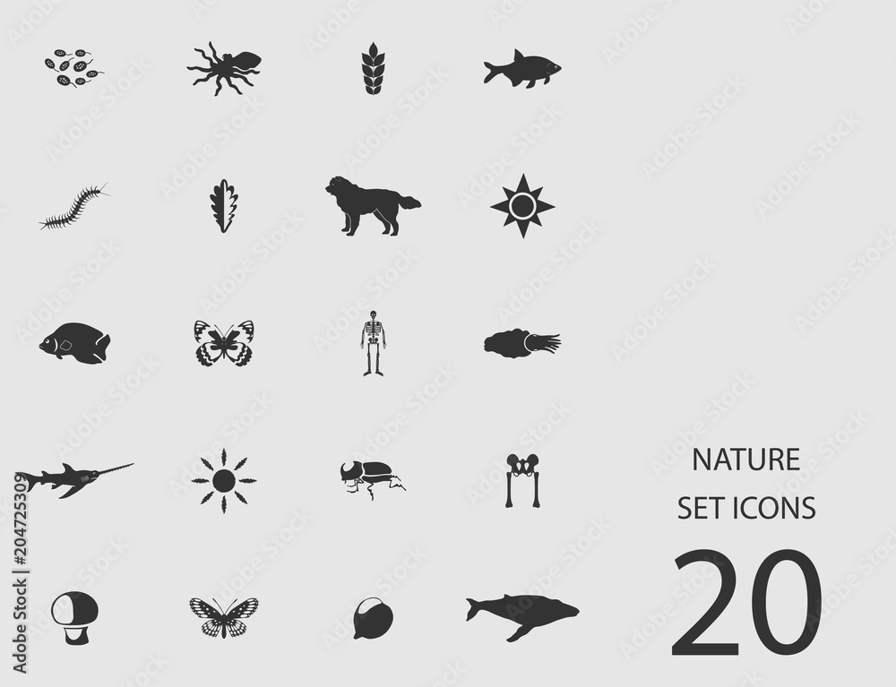 Nature set of flat icons. Vector illustration