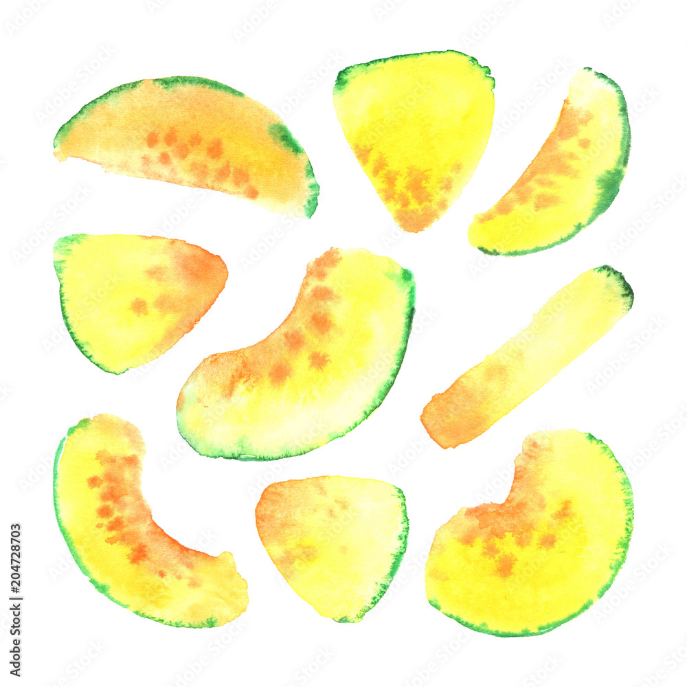 Print from the juicy melon, in watercolor style. Print from the juicy melon, in watercolor style.