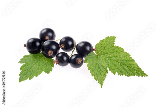 fresh blackcurrant berries with leaves over white background