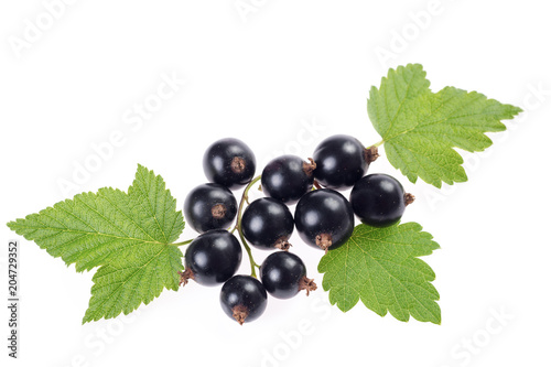 Sweet shiny black currant berries with leaves . Closeup , isolated on white