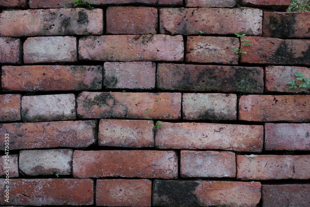 close up details of old bricks wall close up details of old bricks wall