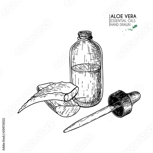 Hand drawn set of essential oils. Vector eloe vera serum. Medicinal herb with glass dropper bottle. Engraved art. Good for cosmetics, medicine, treating, aromatherapy, package design health care.