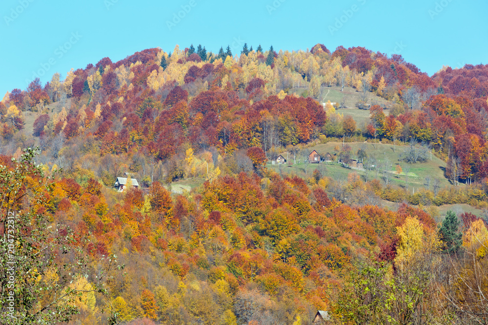 Autumn Carpathian mountains (Ukraine).