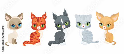 Fototapeta Naklejka Na Ścianę i Meble -  Vector image of a cute purebred kittens in cartoon style. Colorful illustrations isolated on a white background. Set.