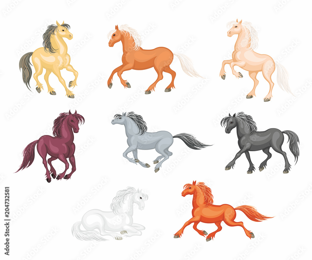Obraz premium The realistic images of a beautiful horses on a white background. Vector illustration set.