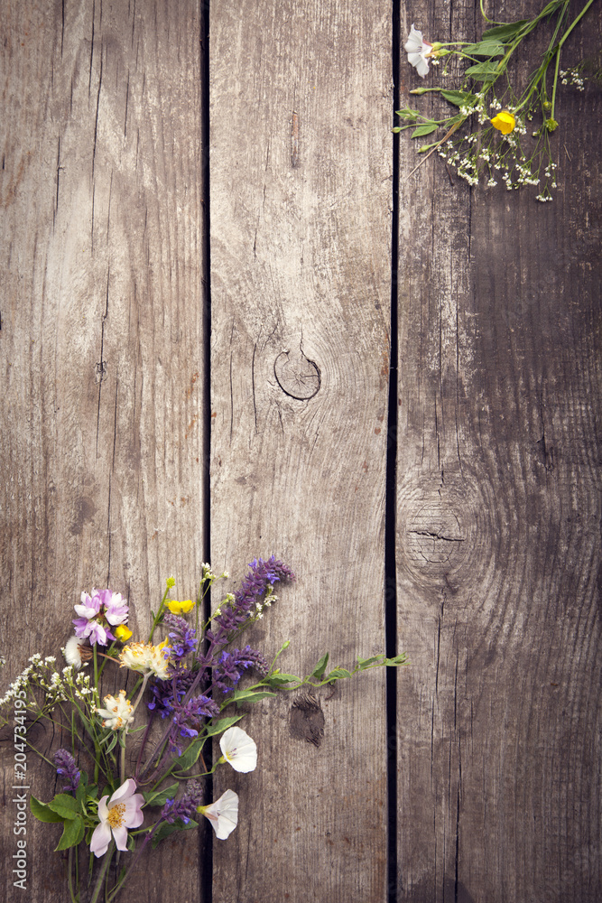 Fototapeta premium Wild flowers on old grunge wooden background (chamomile lupine dandelions thyme mint bells rape)