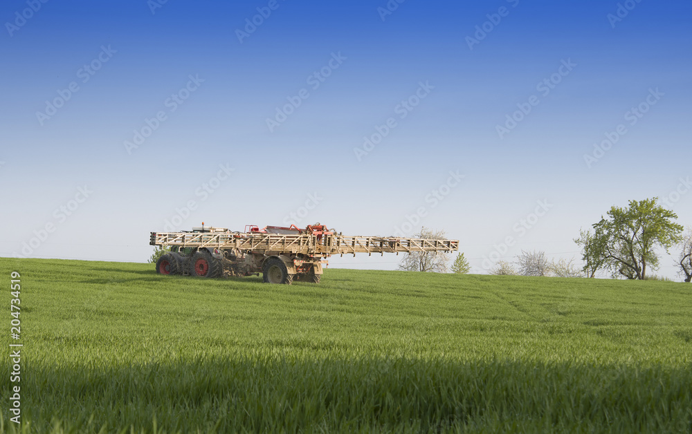 Naklejka premium spraying wheat field