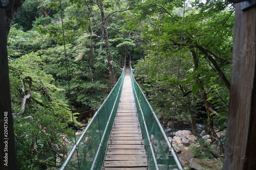 costa rica green bridge