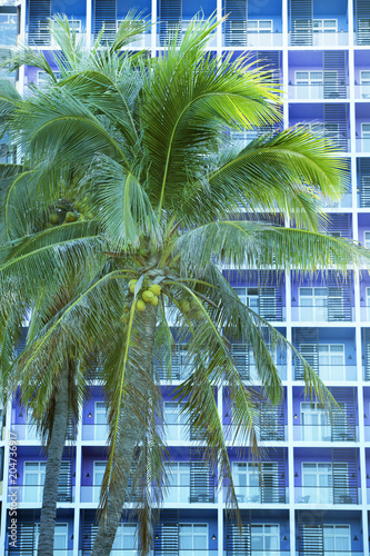 Coconut palm trees, Hotel, beautiful tropical background, Vacation holiday concept. © Sergey
