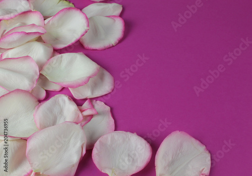 Rosenblätter auf rosa Hintergrund
