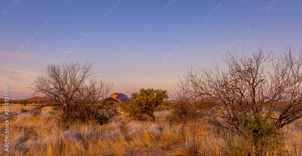 The Sonoran Desert in the southwest US is unique, open, full of various cactus, warm climate, hikers and outdoor enthusiasts explore the vast land