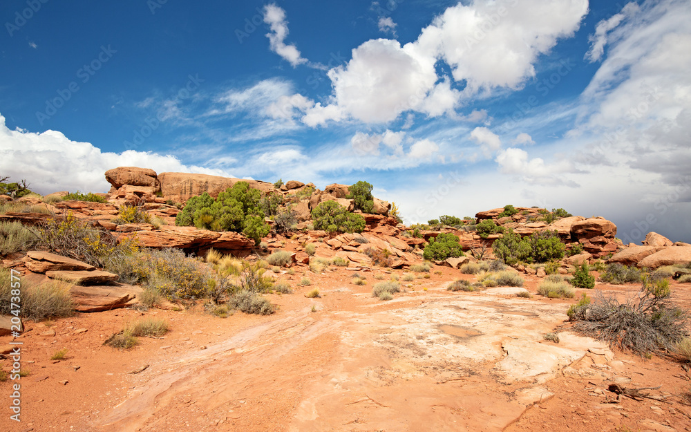 Canyonlands Canyonlands