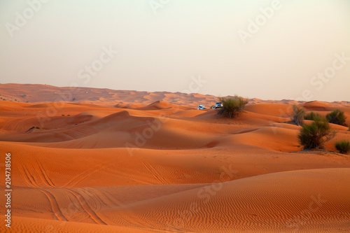 Red sand desert