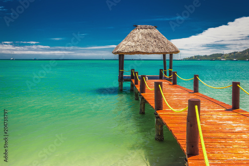 Red wooden jetty extending to tropical ocean in Fiji © Martin Valigursky