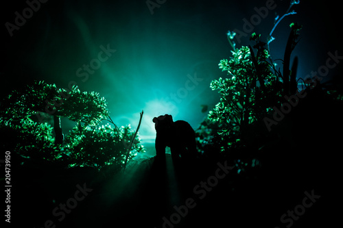 Angry bear behind the fire cloudy sky. The silhouette of a bear in foggy forest dark background photo