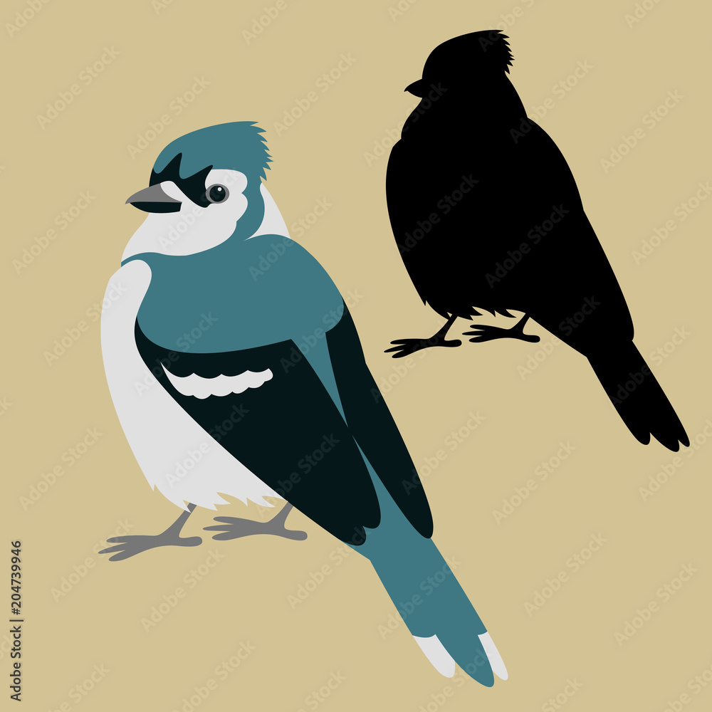 Blue jay Silhouette Vector, Clipart Images, Pictures