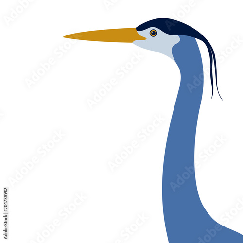 crane bird vector illustration flat style   profile
