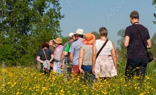 walking through the flower field