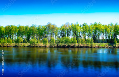 Dramatic river forest horizon backdrop background