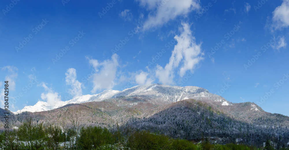 Alpine Landscape 