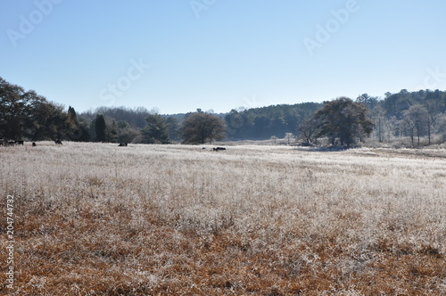 Wallpaper Mural ph8 Torontodigital.ca