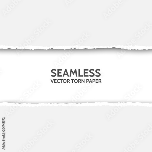 Vector seamless torn paper set on gray background.
